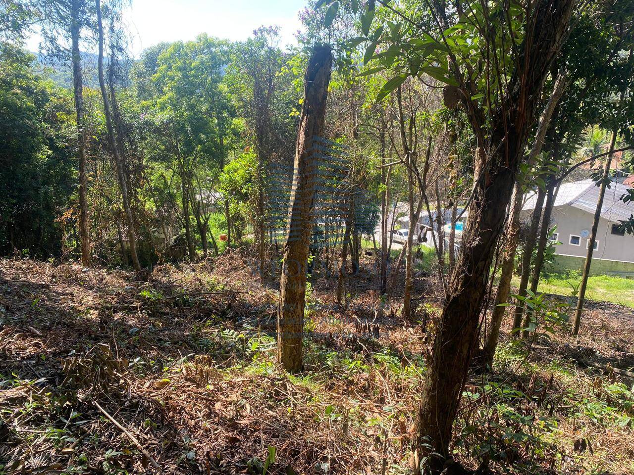Terreno à venda, 5000m² - Foto 7